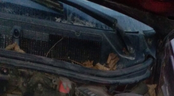 1996 model fiat tempra 1.6 stw çıkma cam önü ızgarası