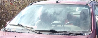 2002 model renault megane 1 coupe çıkma ön cam