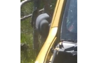 2003 model renault kangoo 1.9 çıkma orjinal sağ dikiz ayna