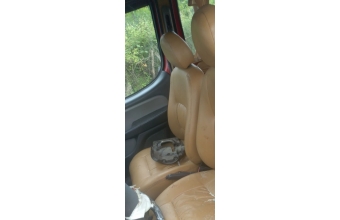 2007 model fiat doblo 1.3 multijet çıkma sağ ön koltuk