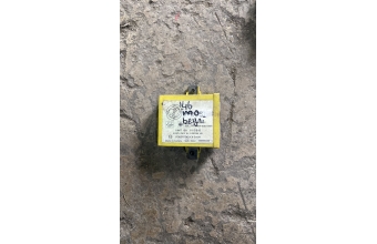 Alfa romeo 146 immobilizer beyni