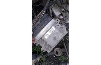 Dacia solenza motor beyni