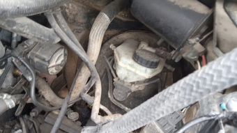 Fiat scudo vestanuz
