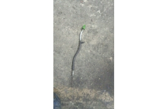 Fiat Tempra 2.0 yag çubuğu