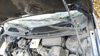 Ford kornet camönü ızgara 5bin