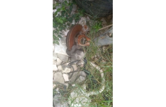 ford transit v184 çıkma sağ ön disk