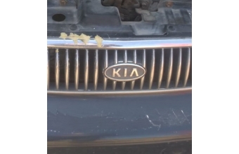 kia clarus 2.0 çıkma panjur arma