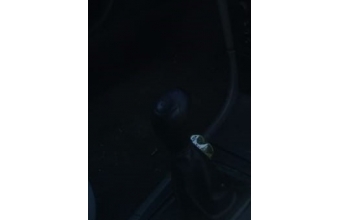 kia clarus 2.0 çıkma vites topuzu