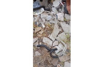 Kia Rio direksiyon yağ borusu