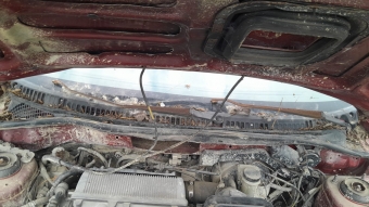 Mazda 323 family camonu izgarasi 