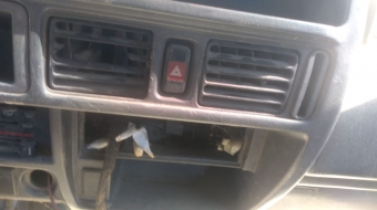 mazda çıkma 4lü düğme