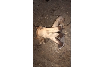 Mitsubishi karizma 1.6 16v egzoz manifoldu