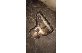 Renault Clio egzoz muhafaza saci benzinli