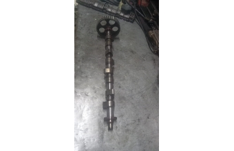 Renault Flash 1.7 eksantrik mili