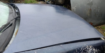 renault r19 1.6 çıkma kaput.