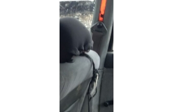 renault r19 1.6 karburatörlü çıkma sağ ön emniyet kemeri.