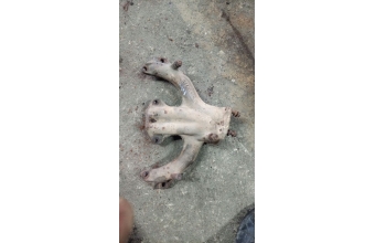 Skoda felicia egzoz manifold 2500