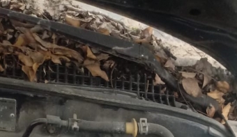 toyota corona 2.0 çıkma cam önü ızgarası
