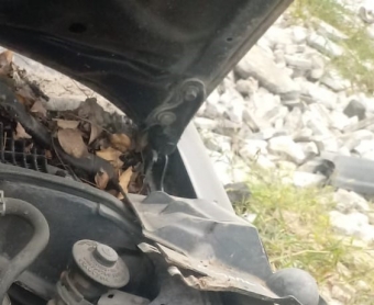 toyota corona 2.0 çıkma kaput menteşe
