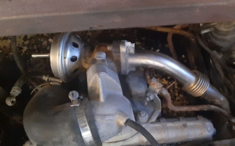 volkswagen vento 1.9 dizel egr